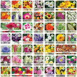 Mixed exotic Italian wildflowers seeds